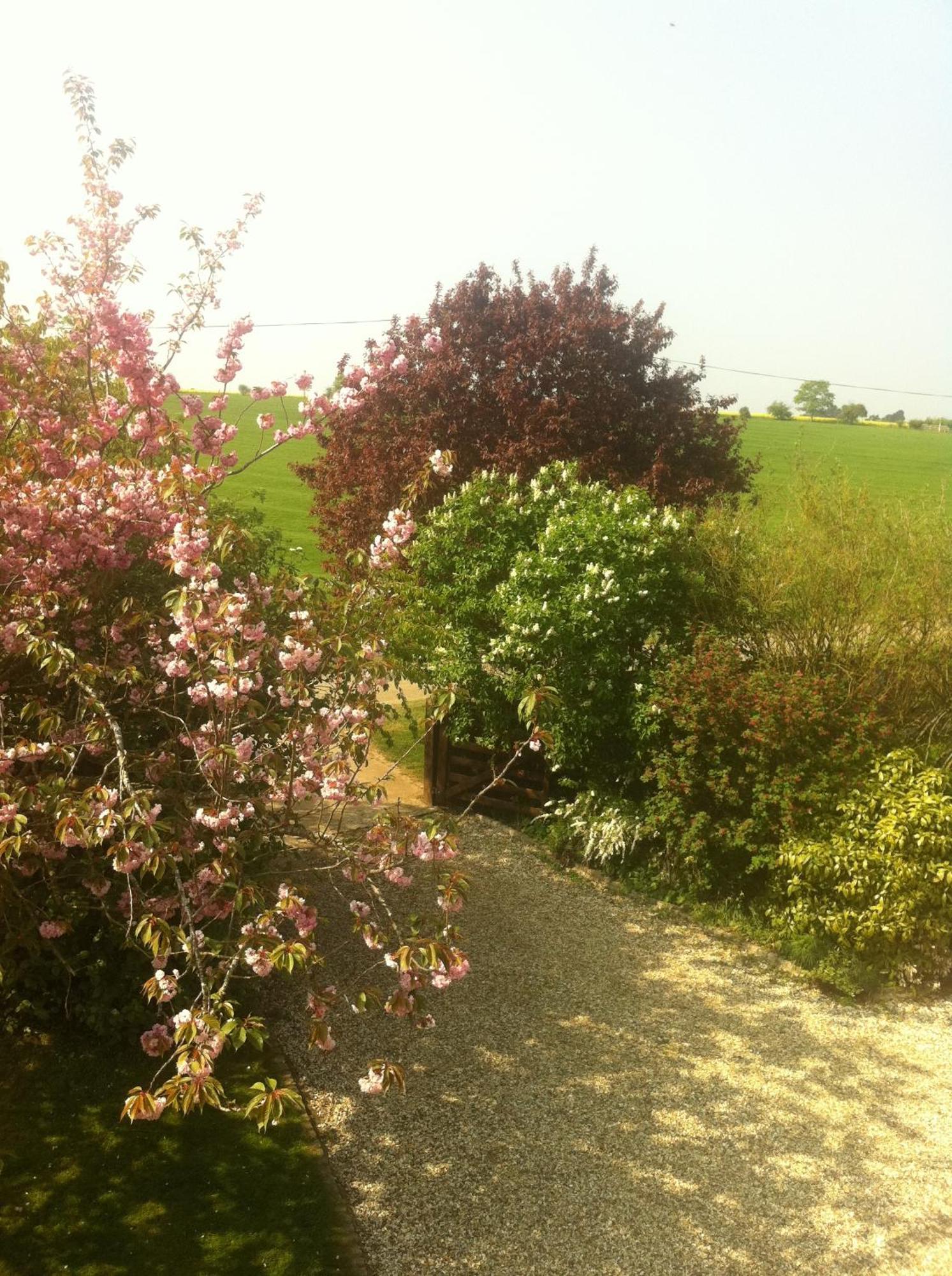 Whitchurch Farm Guesthouse Alderminster Buitenkant foto