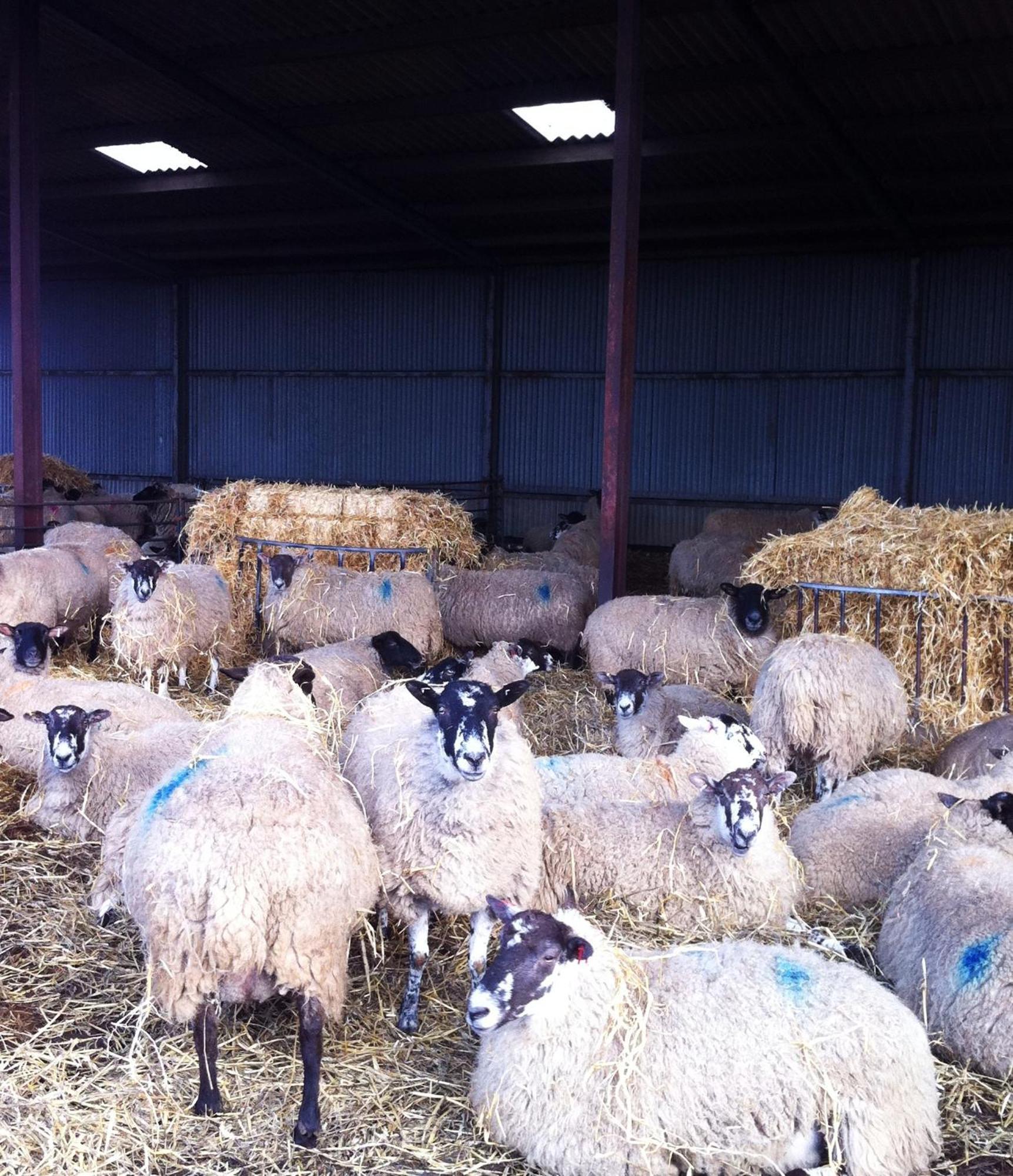 Whitchurch Farm Guesthouse Alderminster Buitenkant foto